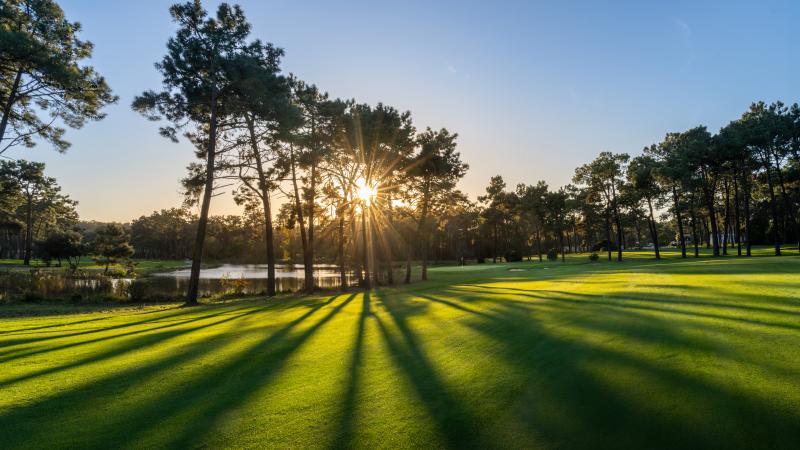 Golfbanor